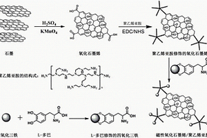 磁性氧化石墨烯/聚乙烯亞胺吸附劑及其制備方法與應(yīng)用