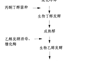 生物丁醇聯(lián)合發(fā)酵生物乙醇的生產(chǎn)方法