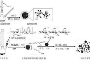 網(wǎng)狀交聯(lián)凝膠及制備方法和應用