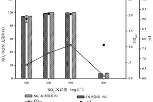 異養(yǎng)硝化-好氧反硝化菌及其培養(yǎng)方法和應用