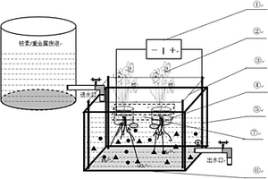 低壓電場-植物去除水體放射性核素/重金屬的方法及系統(tǒng)