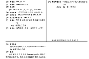 使用最適化的低鹽培養(yǎng)基培養(yǎng)THRAUSTOCHYTRIALES屬微生物的方法