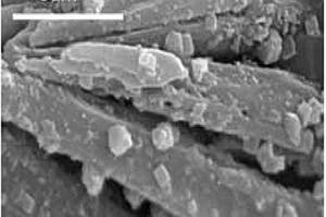 負(fù)載型固體堿催化劑、其制備方法以及其在合成新型生物柴油中的應(yīng)用