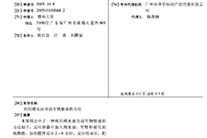 利用潲水油合成生物柴油的方法