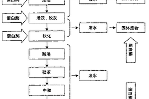 使用蛋白酶制備皮革的方法和使用它處理來(lái)自皮革加工的廢物的方法