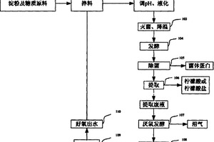 以好氧出水為配料水的檸檬酸生產(chǎn)方法