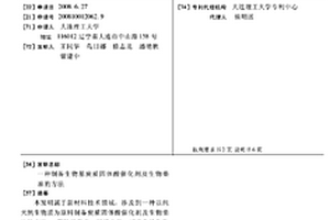 制備生物基炭質(zhì)固體酸催化劑及生物柴油的方法