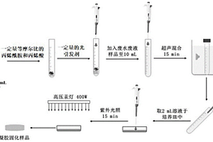 用于快速檢測(cè)技術(shù)分析廢水廢液中重金屬的樣品固化預(yù)處理方法