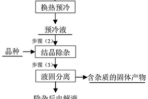 同時脫除濕法煉鋅廢電解液中多種雜質離子的方法