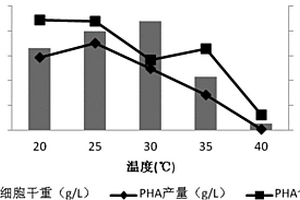 利用高效菌將餐廚廢油合成PHA的工藝方法