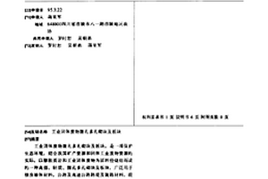 工業(yè)固體廢物微孔多孔砌塊及板塊