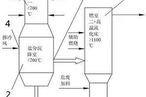 聯(lián)合處理高含鹽有機(jī)廢液及危險(xiǎn)固廢的裝置