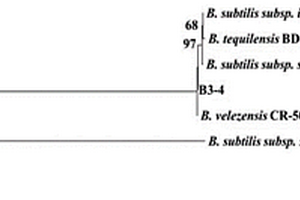 井場環(huán)保廁所降解物制備方法和處理水基固廢的方法