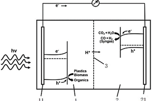 光電催化有機固廢氧化耦合二氧化碳還原系統(tǒng)及方法
