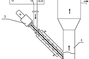 用于放射性有機(jī)固廢熱法減容的反應(yīng)裝置