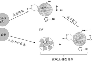 固體廢棄物制備鹽堿土壤改良劑的新工藝