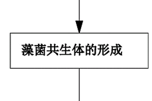 處理沼液的菌藻共生系統(tǒng)及其應(yīng)用