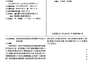 有機(jī)物或有機(jī)物混合物熱解和氣化的方法和設(shè)備