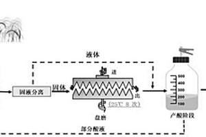 提高秸稈厭氧發(fā)酵產(chǎn)甲烷性能的處理方法及其應(yīng)用