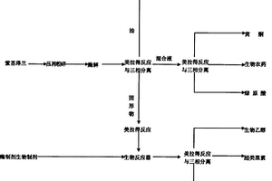 用紫莖澤蘭提取精油、綠原酸、黃酮、生物農(nóng)藥、生物乙醇、腐植酸、超類黑素的方法