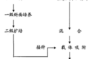 泥炭生物復合菌肥及其生產(chǎn)工藝