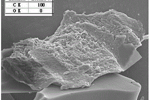 基于油茶籽殼基的高比表面積的多孔碳材料的制備及應(yīng)用