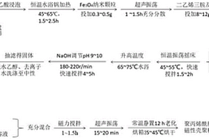 聚丙烯酰胺負載的磁性殼聚糖吸附劑的制備方法及應用