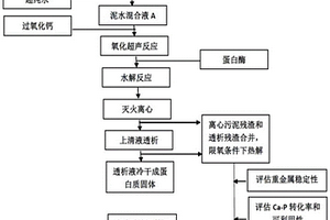 剩余污泥超聲耦合熱解液固分離提取蛋白質(zhì)和磷的方法