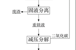 高壓碳化提鎂的方法