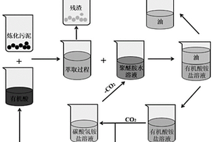 CO<Sub>2</Sub>/N<Sub>2</Sub>開關(guān)型雙循環(huán)萃取工藝及其應(yīng)用