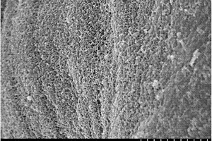 水熱改性棉鈴內(nèi)殼吸附除氟材料的制備方法