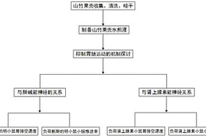 山竹果殼抑制腸胃運(yùn)動(dòng)的水煎液制備工藝及其測(cè)試方法