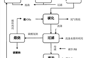 工業(yè)氯化鈉資源化利用工藝