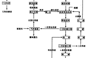 轉(zhuǎn)晶結(jié)合離子交換回收的谷氨酸提取工藝