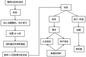 利用黑水虻處理屠宰后廢棄畜禽胃腸內(nèi)容物的方法