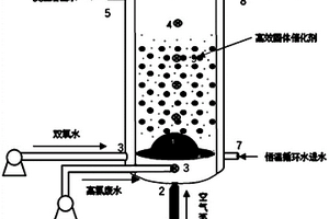 針對高鹽難降解廢水的高效異相類芬頓反應器