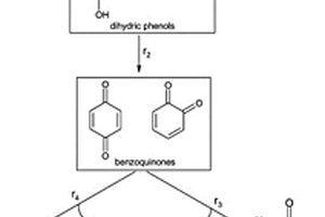 非均相類Fenton催化劑及其制備方法和在降解含酚廢水中的應(yīng)用