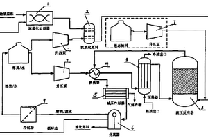 高壓流體轉(zhuǎn)化技術(shù)制備生物燃料的工藝