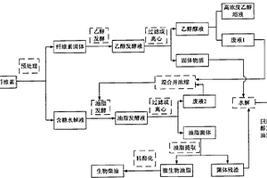 以木質(zhì)纖維素為原料聯(lián)產(chǎn)乙醇和微生物油脂的方法