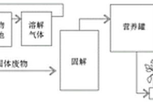 基于工廠化循環(huán)水養(yǎng)殖的魚菜共生系統(tǒng)