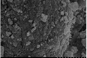 納米ZSM-5分子篩催化對(duì)二氯苯異構(gòu)化制備間二氯苯的方法