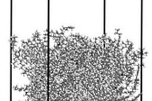 基于分子模擬玉米秸稈纖維吸附瀝青效果的評(píng)價(jià)方法