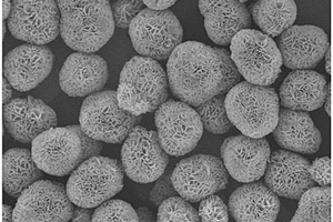 制造輕質(zhì)、高比表面積、花球型納米氫氧化鎂的方法