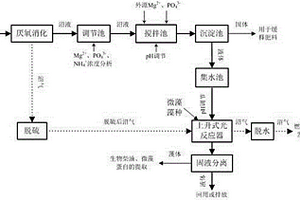 利用鳥糞石沉淀耦合微藻培養(yǎng)進(jìn)行沼液和沼氣凈化的方法