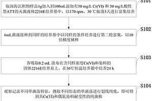 具有六價鉻去除和脫色的不動桿菌、分離純化方法及應(yīng)用