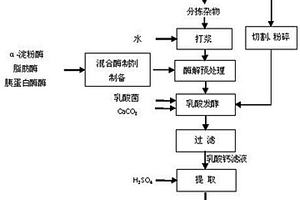 酶解餐廚垃圾與玉米秸稈聯(lián)合發(fā)酵產(chǎn)乳酸方法