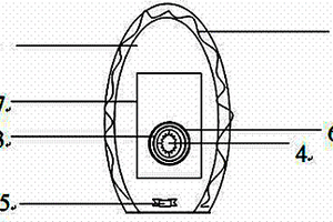 大小便收集護(hù)理裝置