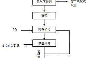 利用熱碳還原磷石膏耦合熱活化鉀長石礦化CO<sub>2</sub>并聯產二氧化硫和硫酸鉀的方法