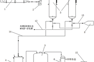 一種硫代硫胺粗品壓濾母液預(yù)處理裝置