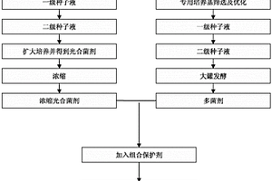 一種復合微生物制劑生產(chǎn)工藝